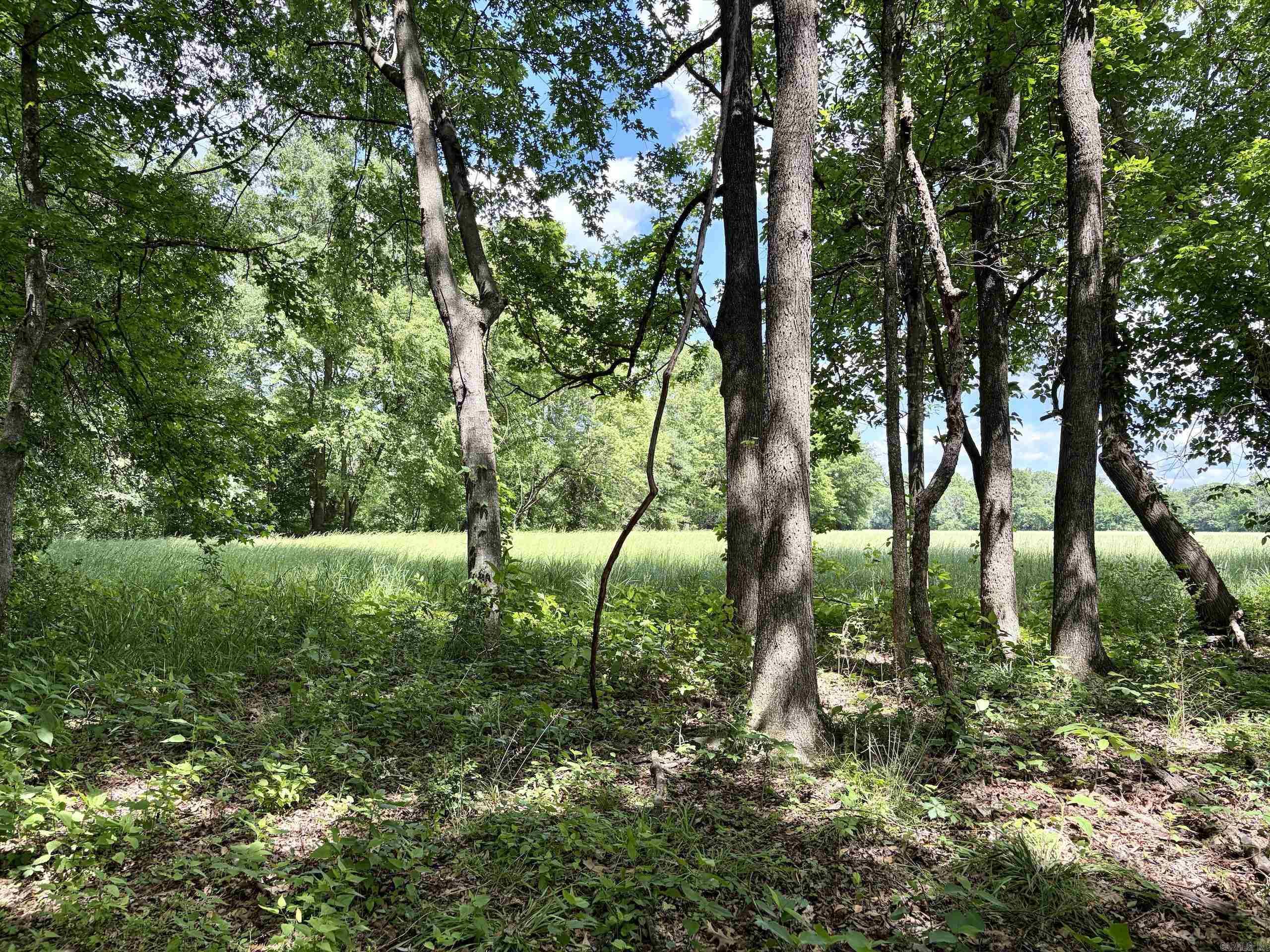 Not in Subdivision - Land