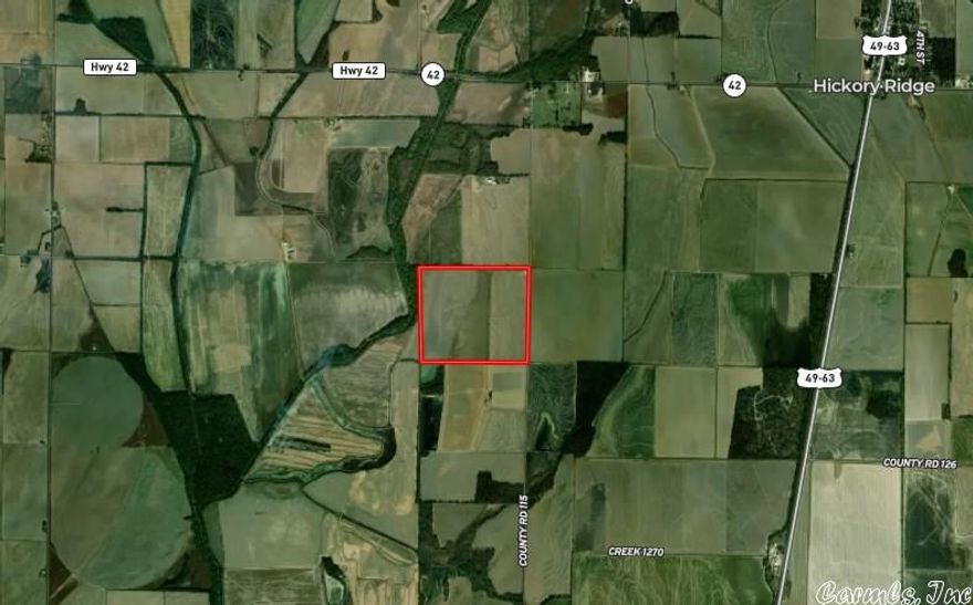 190+- acres of irrigated rice and soybean ground bordering Bayou DeView in Cross County.