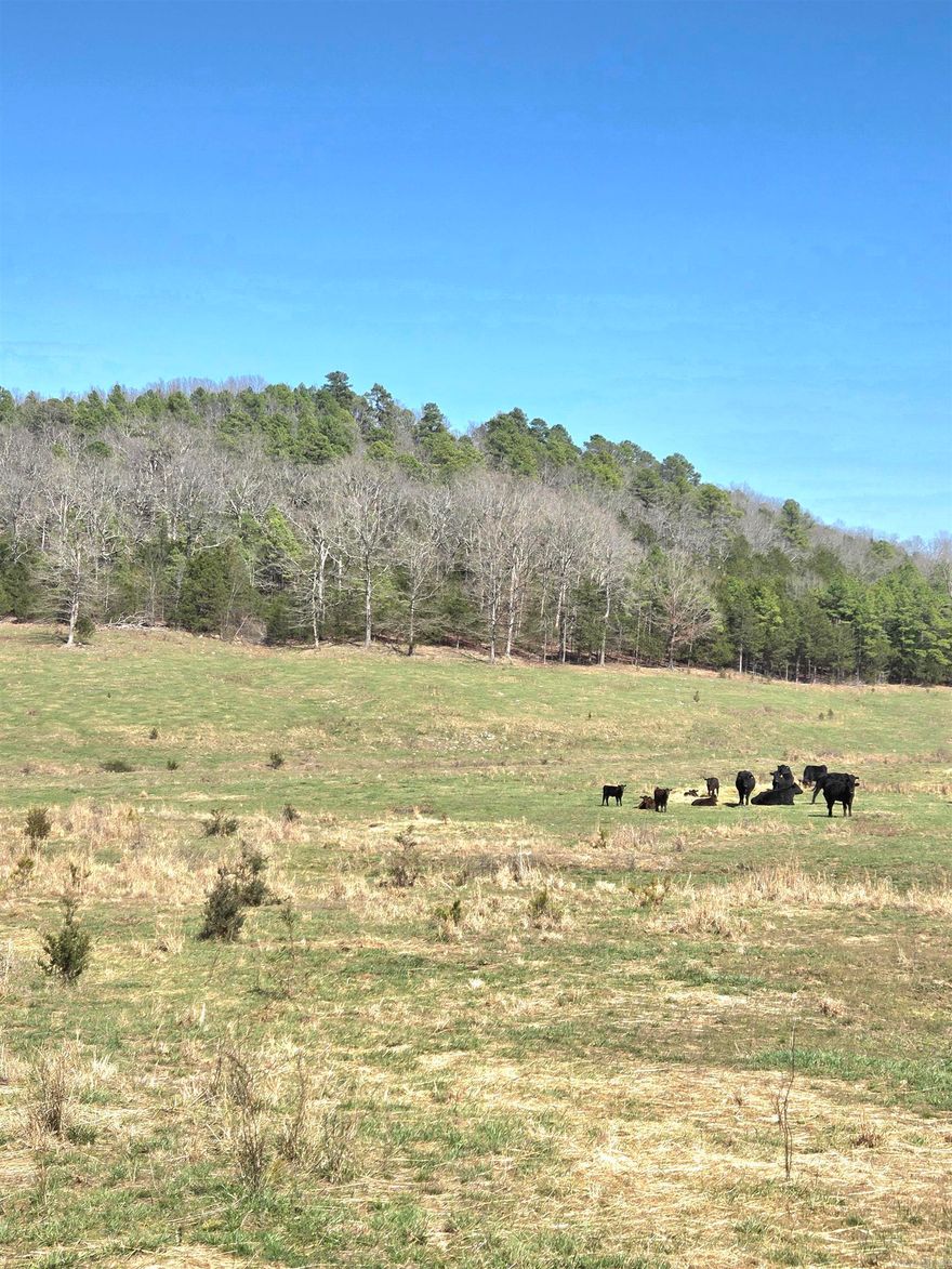 If you are looking for farm property or hunting property, here it is. 150 m/l acres of pastureland and timber mixed. Property has 2 ponds, one is spring fed. The property has 2 different points of entry,  accessible from 2 different county roads. Property is fenced all around. There is a spring box and a spring fed creek that runs all year. There are some beautiful building sites and there is water and power on the property. Wildlife is plentiful with deer and turkey. ATV trails are throughout the property.