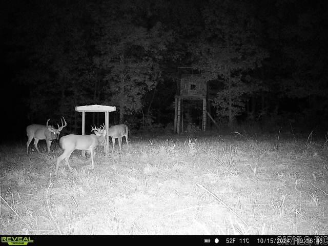 Metes & Bounds - Farm