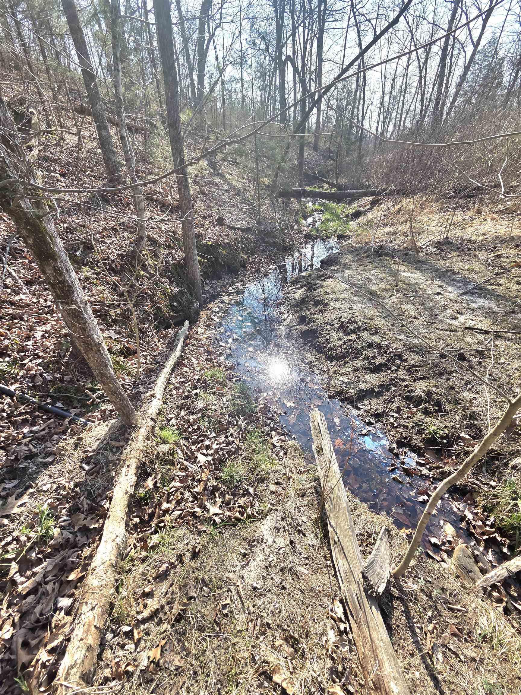 Metes & Bounds - Farm