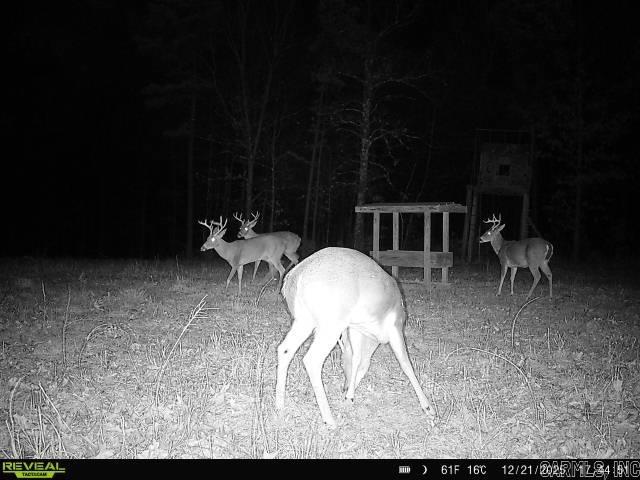 Metes & Bounds - Farm