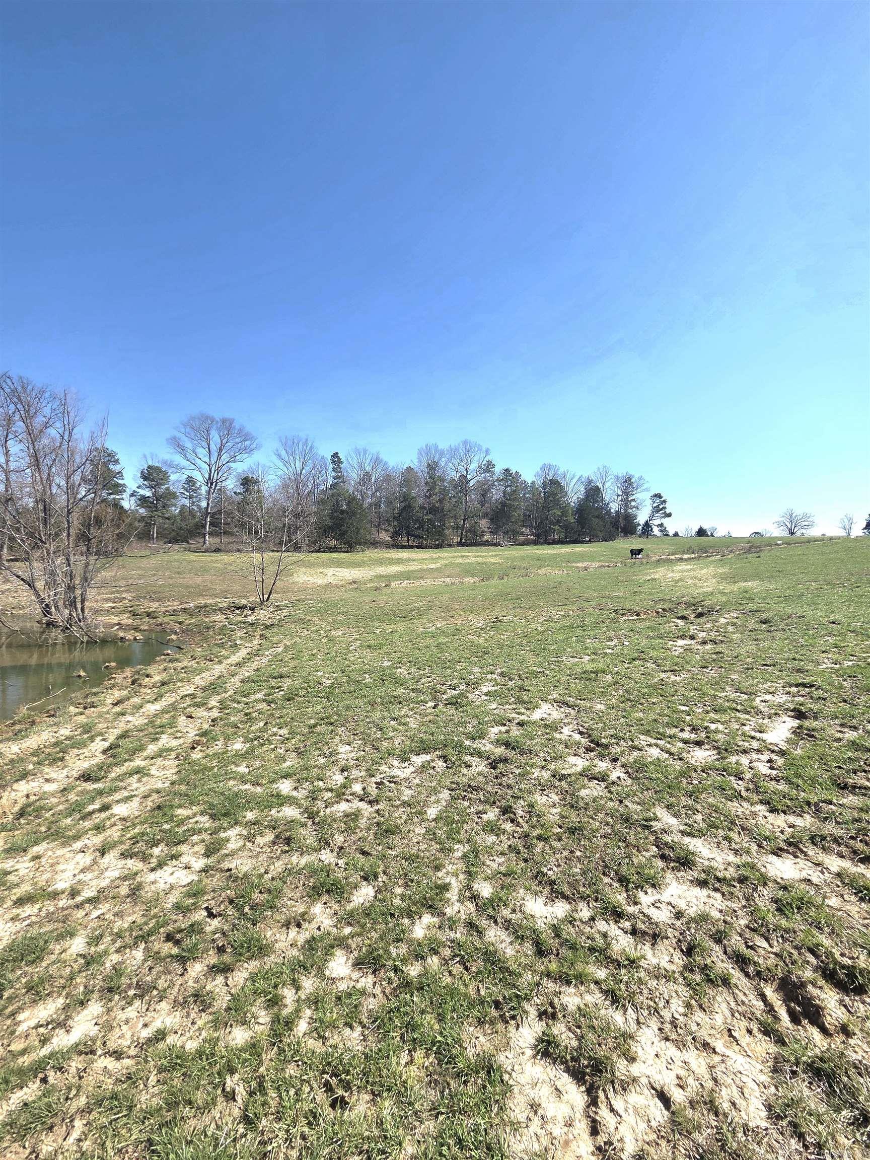 Metes & Bounds - Farm