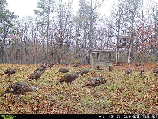 Metes & Bounds - Farm