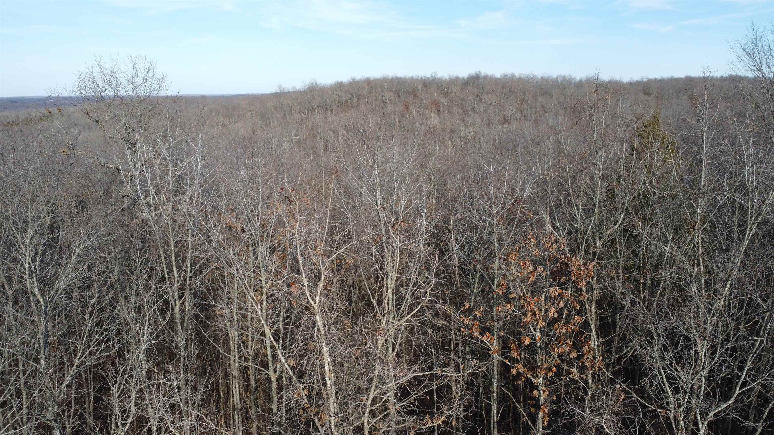 40 Acres of Opportunity in Lawrence County, AR! Discover 40 +- acres of pristine land in Lawrence County, AR, offering the perfect balance of space, privacy, and potential. Whether you're dreaming of building a home, starting a homestead, or making a valuable land investment, this expansive property is ready for your vision. Scenic & Serene – Enjoy the natural beauty of Arkansas with rolling terrain, mature trees, and open spaces, perfect for recreation or relaxation. Prime Location – Conveniently located close to town. Endless Possibilities – Ideal for a custom home, mobile home, hunting retreat, farm, or future development. Don’t miss out on this rare opportunity to own 40+_ acres in a growing area! Contact us today for more details.