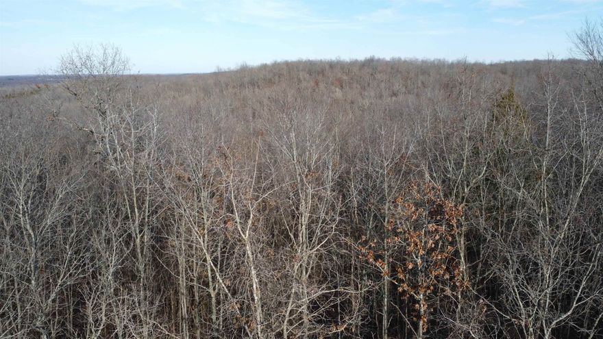 40 Acres of Opportunity in Lawrence County, AR!  Discover 40 +- acres of pristine land in Lawrence County, AR, offering the perfect balance of space, privacy, and potential. Whether you're dreaming of building a home, starting a homestead, or making a valuable land investment, this expansive property is ready for your vision.  Scenic & Serene – Enjoy the natural beauty of Arkansas with rolling terrain, mature trees, and open spaces, perfect for recreation or relaxation. Prime Location – Conveniently located close to town.  Endless Possibilities – Ideal for a custom home, mobile home, hunting retreat, farm, or future development.  Don’t miss out on this rare opportunity to own 40+_ acres in a growing area! Contact us today for more details.