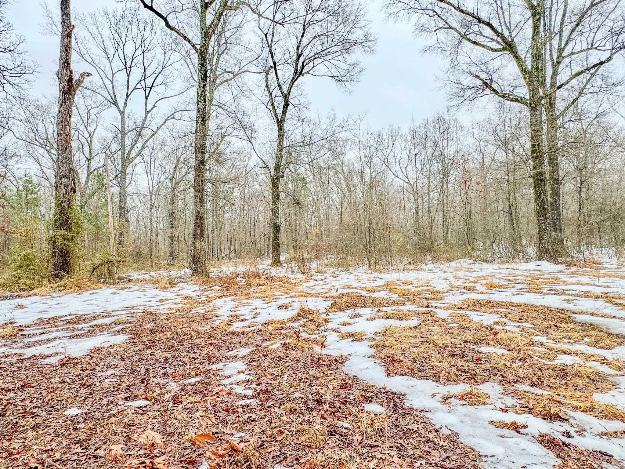 Shelton Acres - Residential Lease