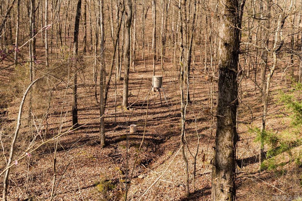 Heber Springs - Residential