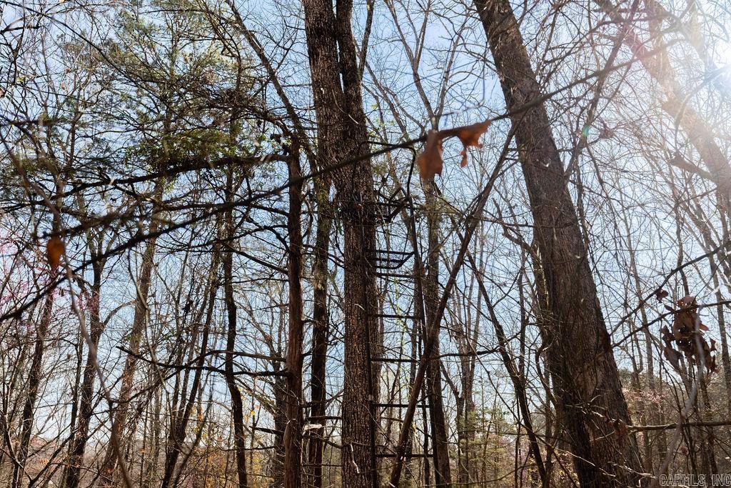 Heber Springs - Residential