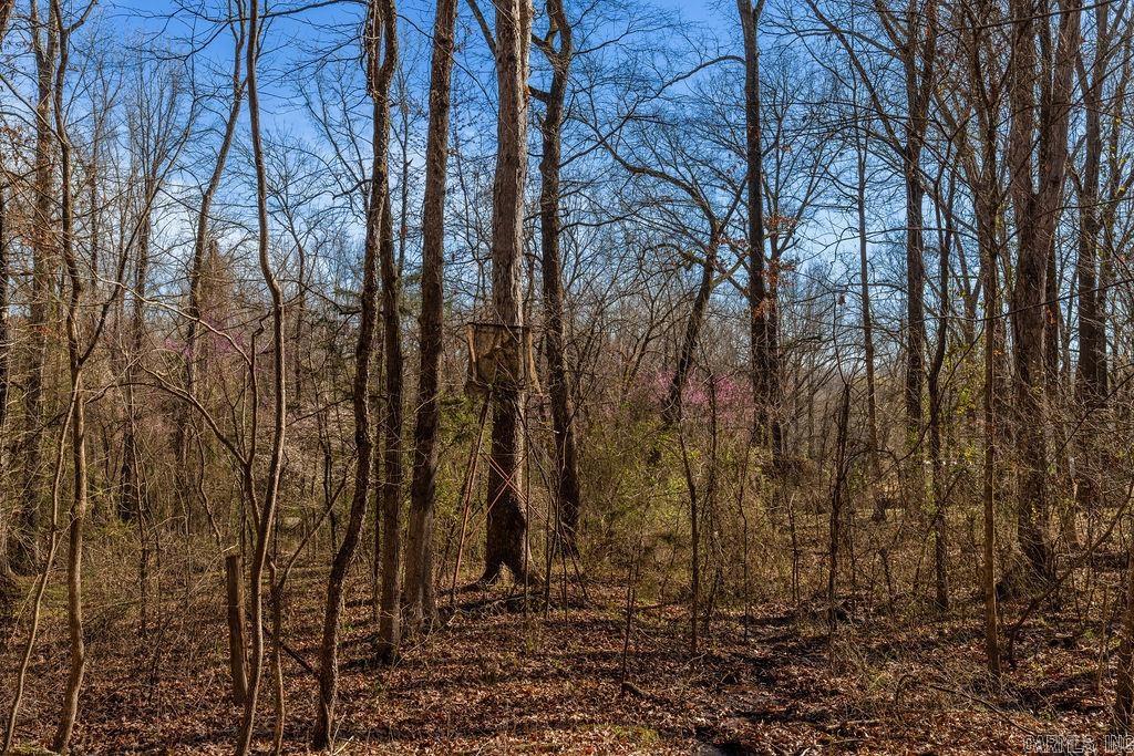 Heber Springs - Residential