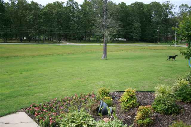 Lincoln Terrace - Residential