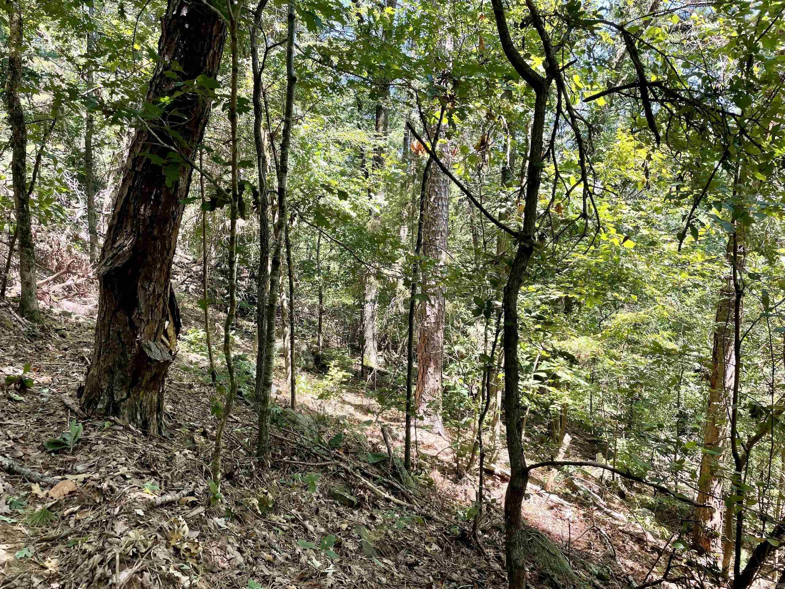 Not in Subdivision - Land