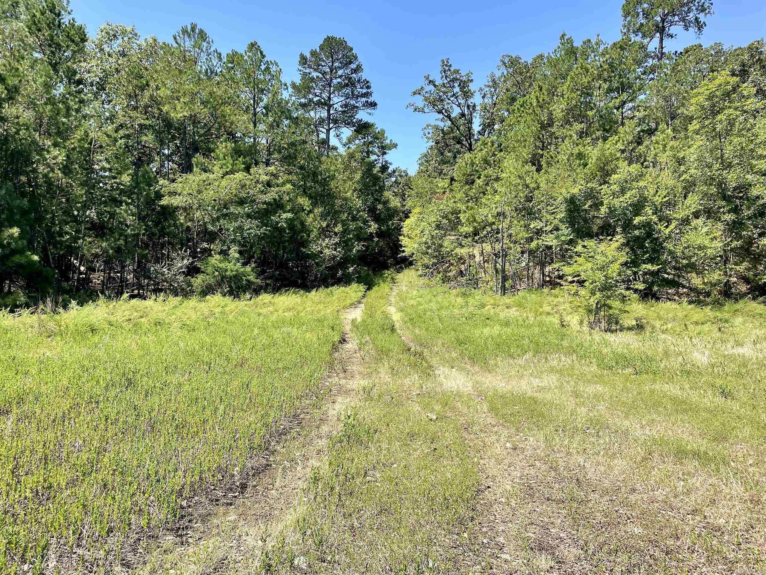 Not in Subdivision - Land