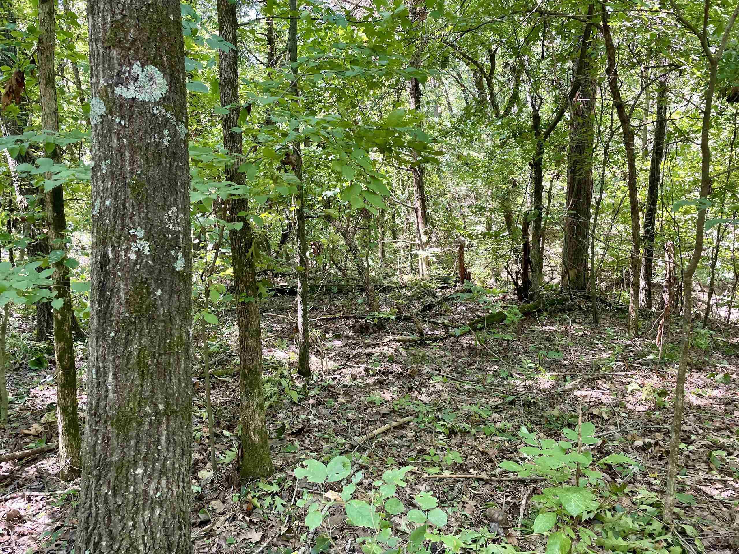 Not in Subdivision - Land