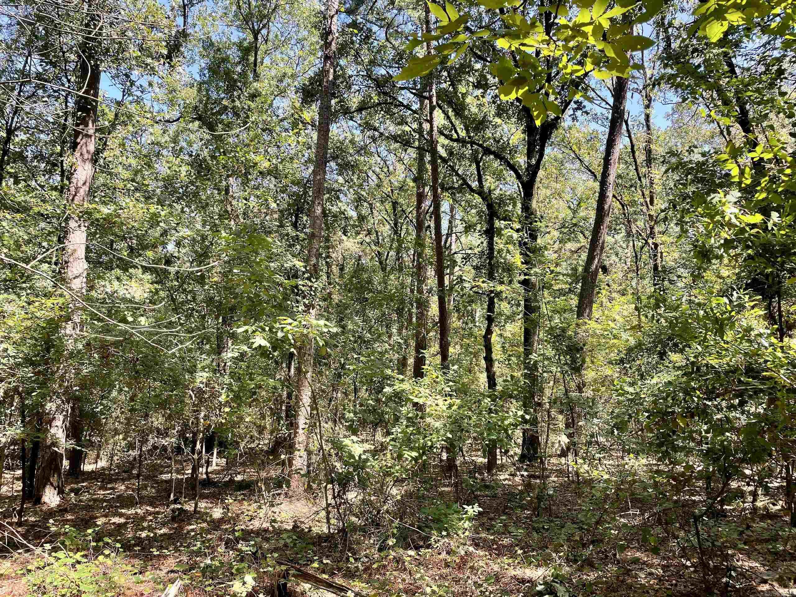 Not in Subdivision - Land