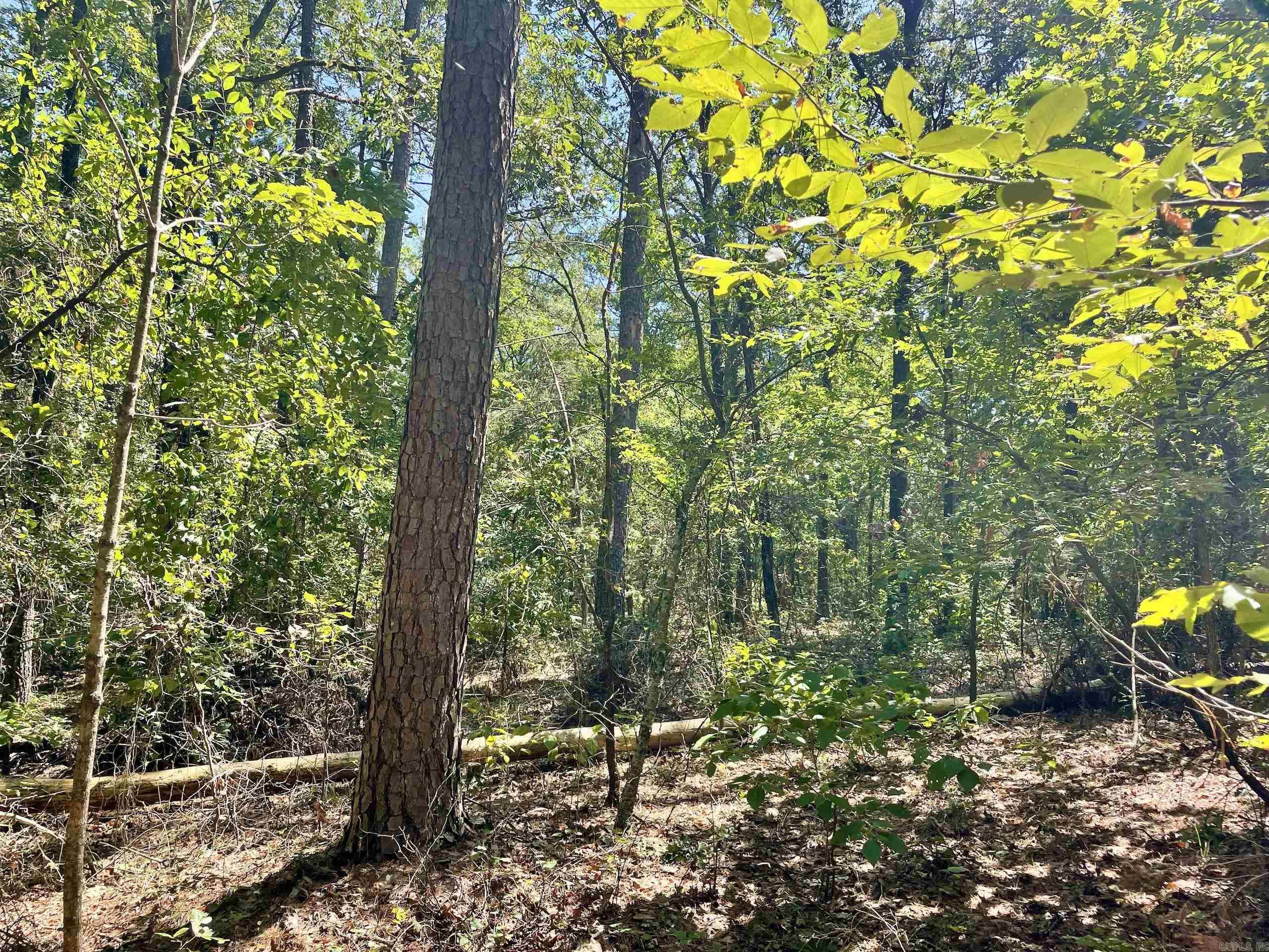 Not in Subdivision - Land