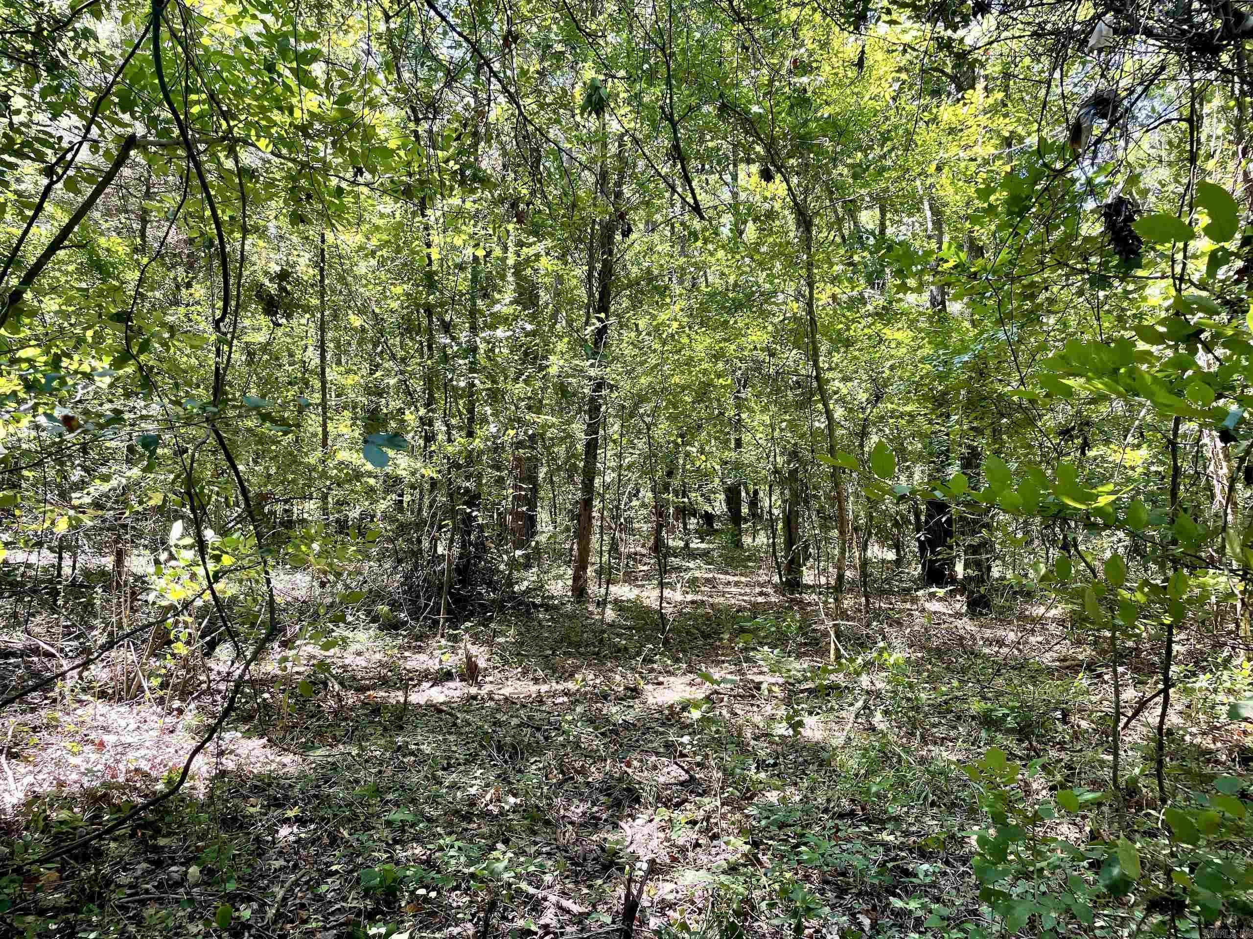 Not in Subdivision - Land