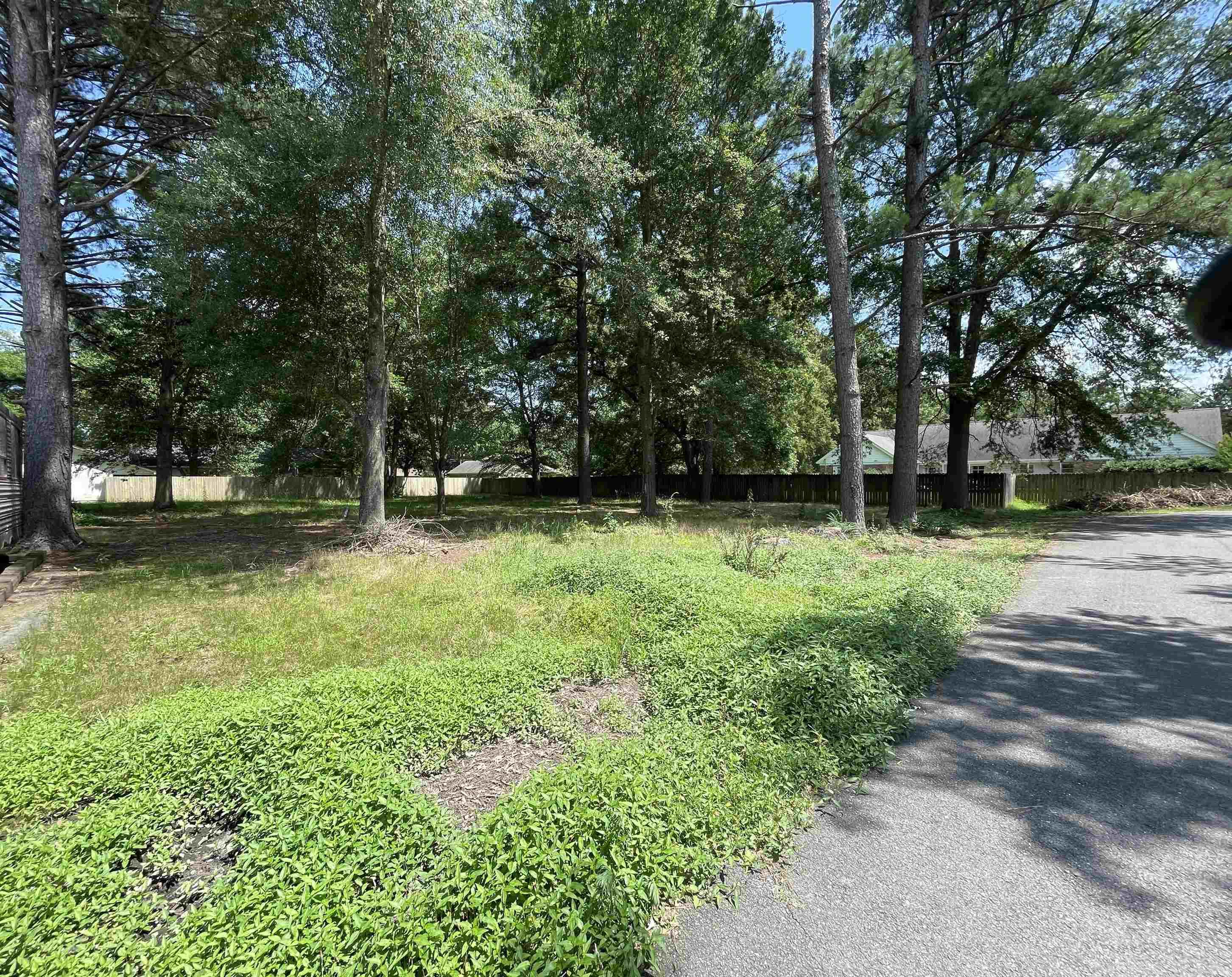 Laurel Heights - Land