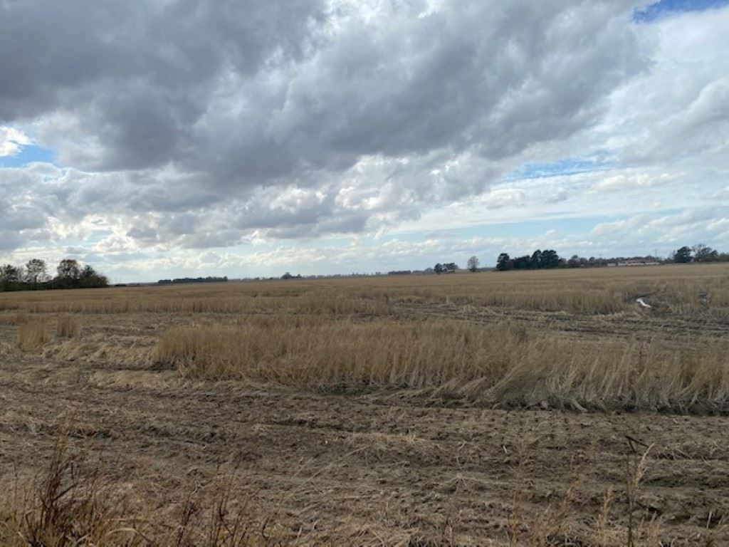 Metes & Bounds - Farm