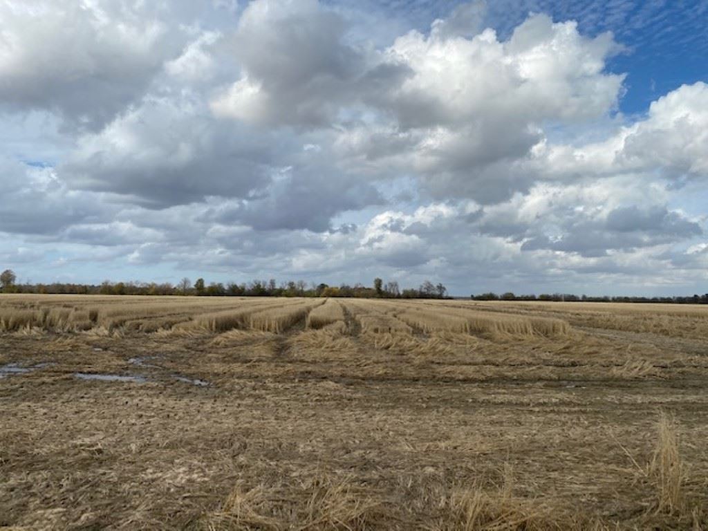 Farm land located in Cash