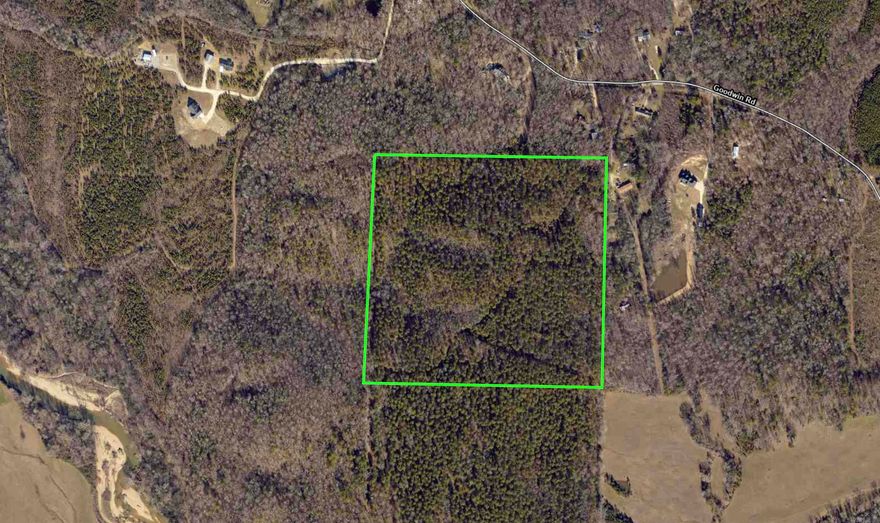 40 Acres located off Goodwin Road. Bryant School District. Would be a good long term investment. Property currently has no easements or legal access. Survey online for reference purposes only.