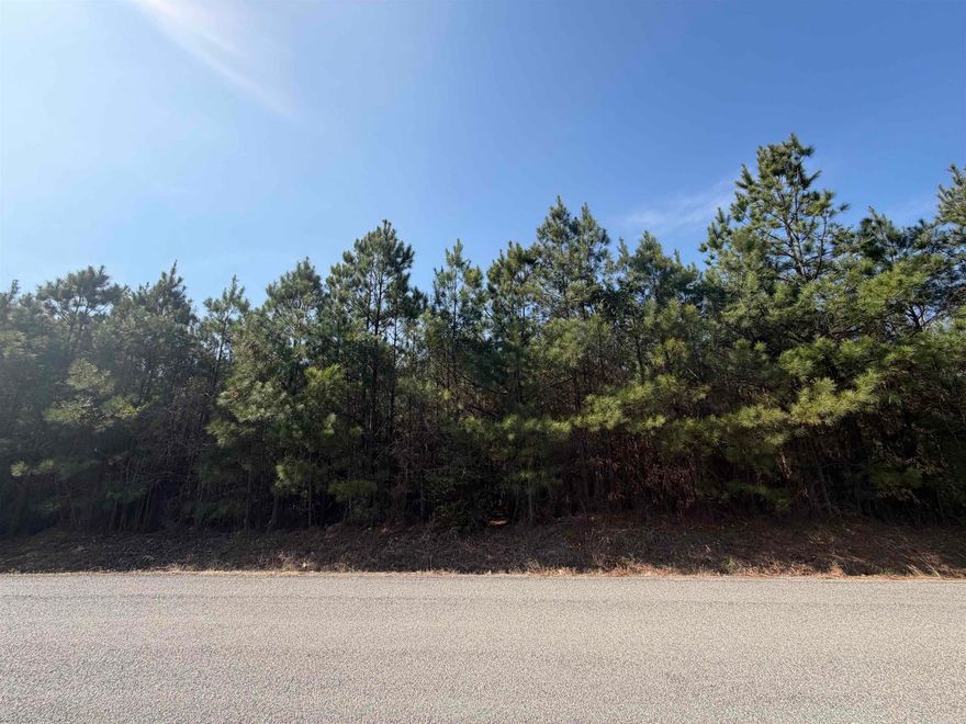 6.81 acres located in Sheridan city limits. Build your dream home. Restrictions and existing survey on file. Agents see remarks.