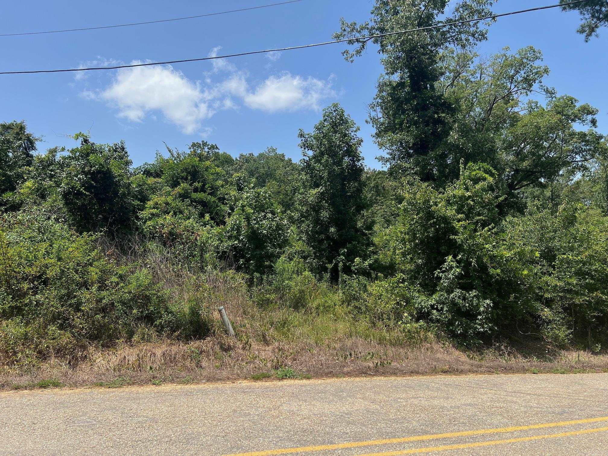 Flat lot in Bauxite School district. Over head electric runs with the road. Water connection at the road. No restrictions. Owner will finance this land Property sits between 12534 and 12629 Childress road