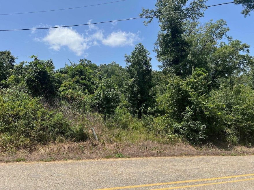 Flat lot in Bauxite School district.  Over head electric runs with the road.  Water connection at the road. No restrictions. Owner will finance this land Property sits between 12534 and 12629 Childress road