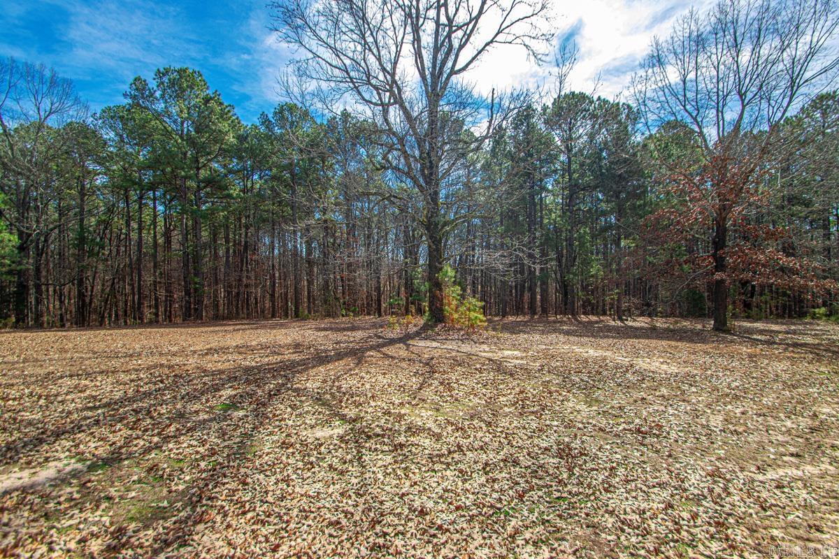 WILLOW POND - Residential