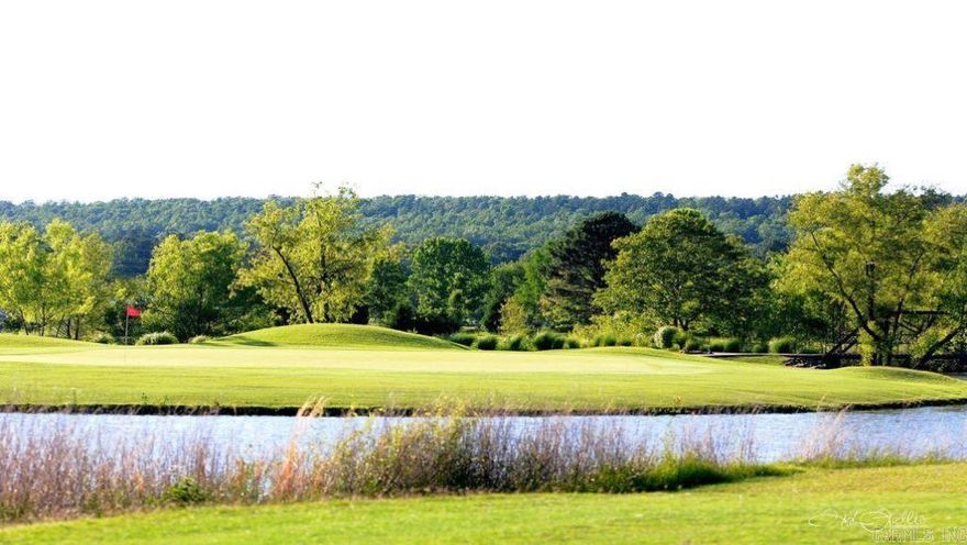 126.31 Acres of land