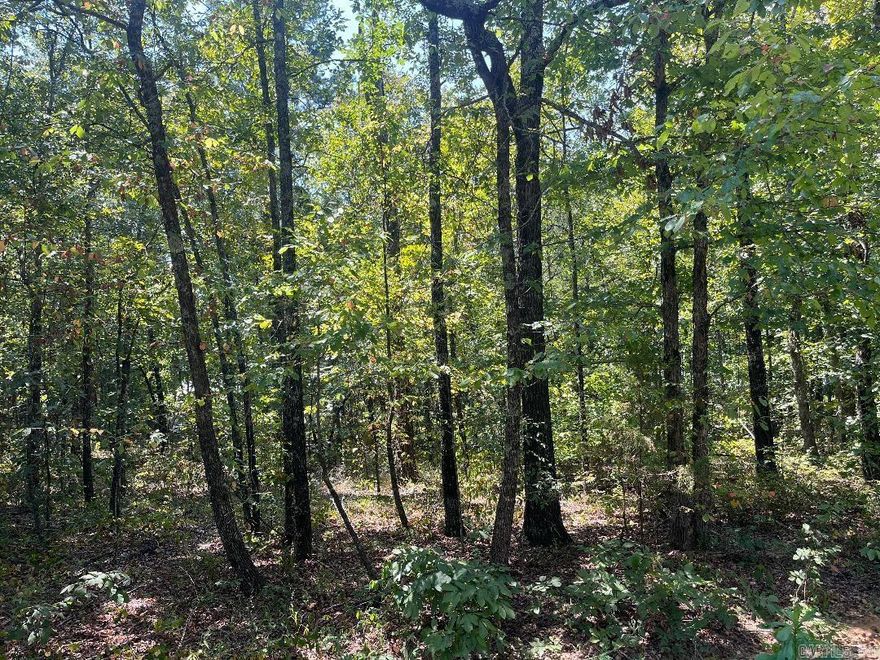 Great flat lots located just minutes from Sugarloaf Marina!