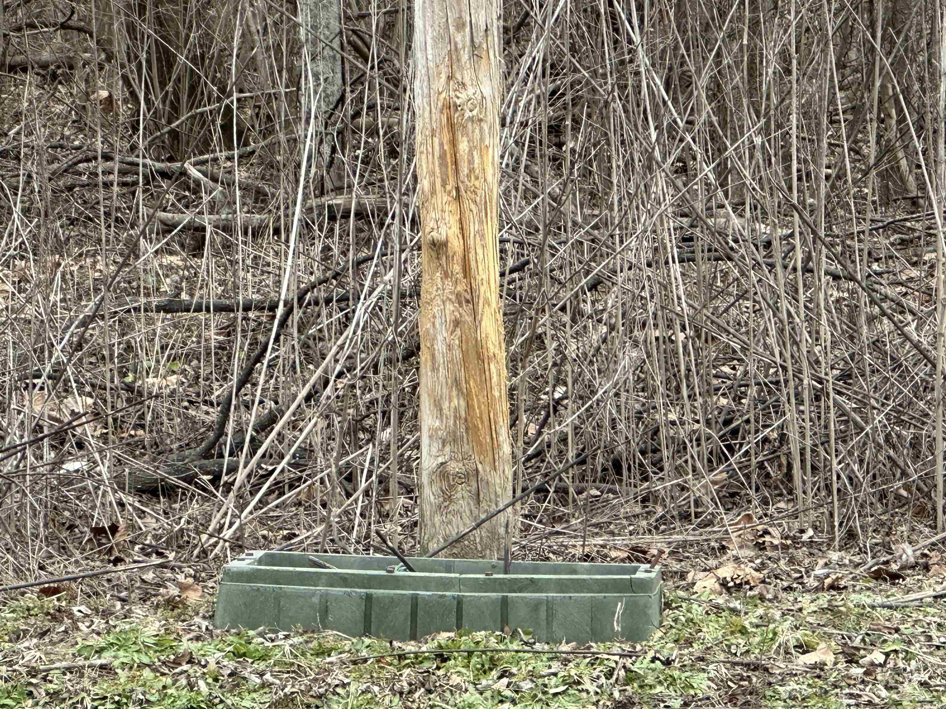 Metes & Bounds - Farm