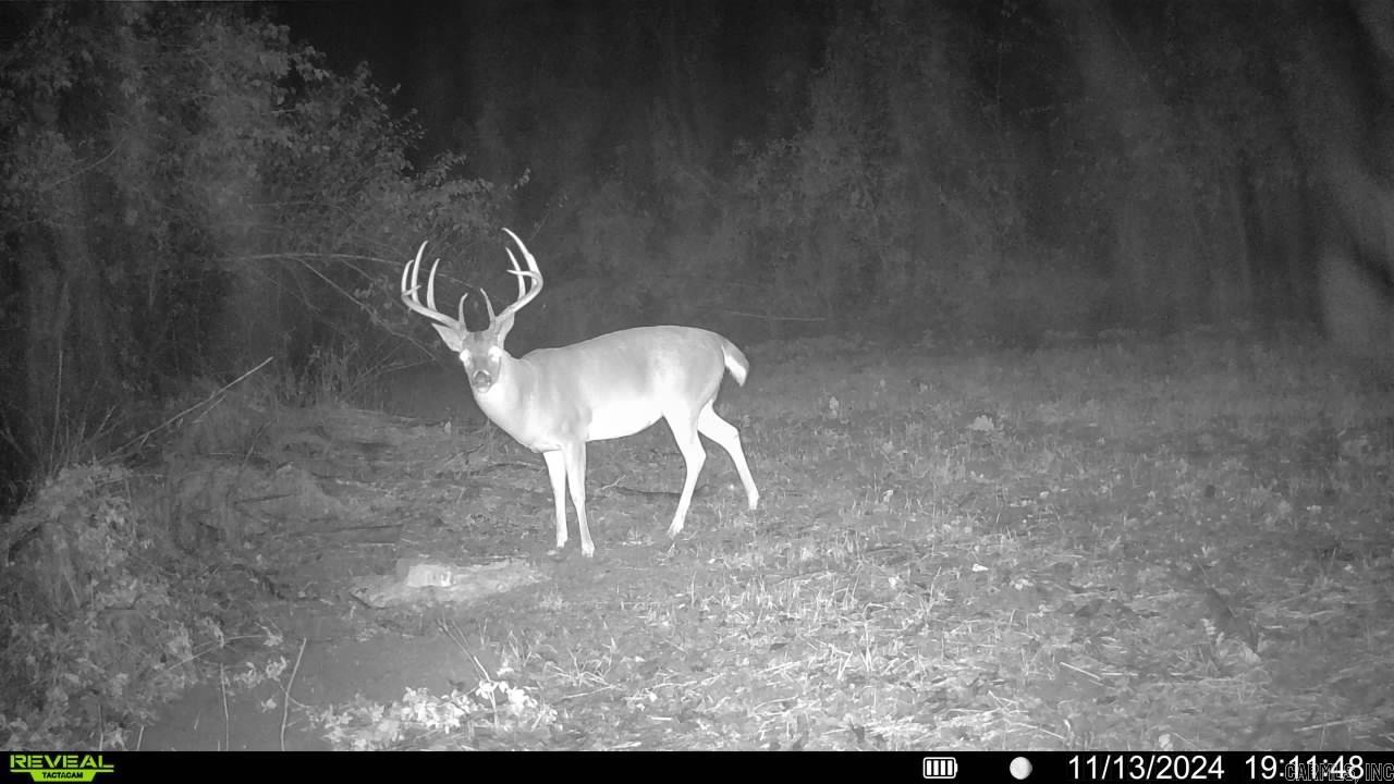 Metes & Bounds - Farm