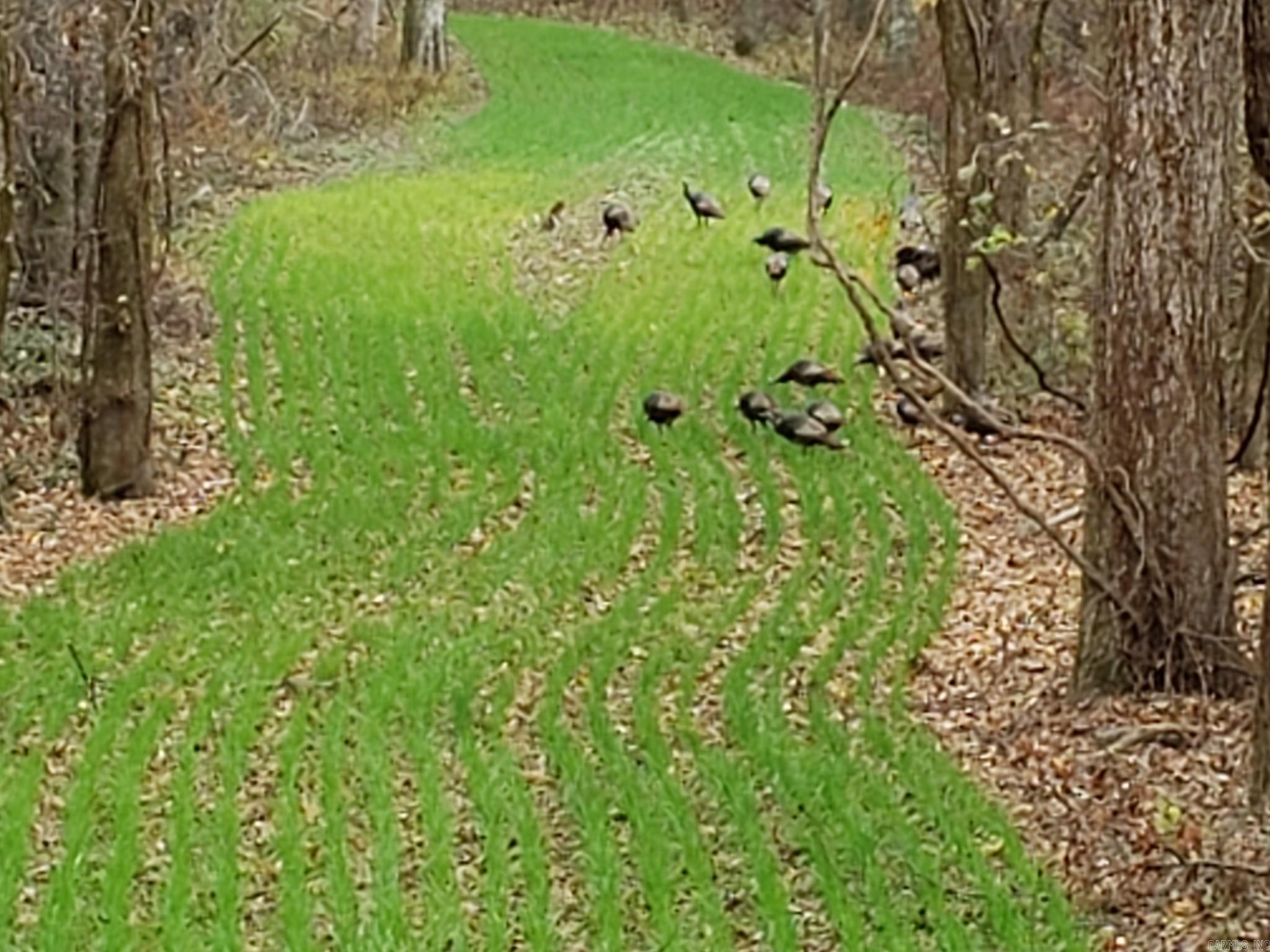 Metes & Bounds - Farm