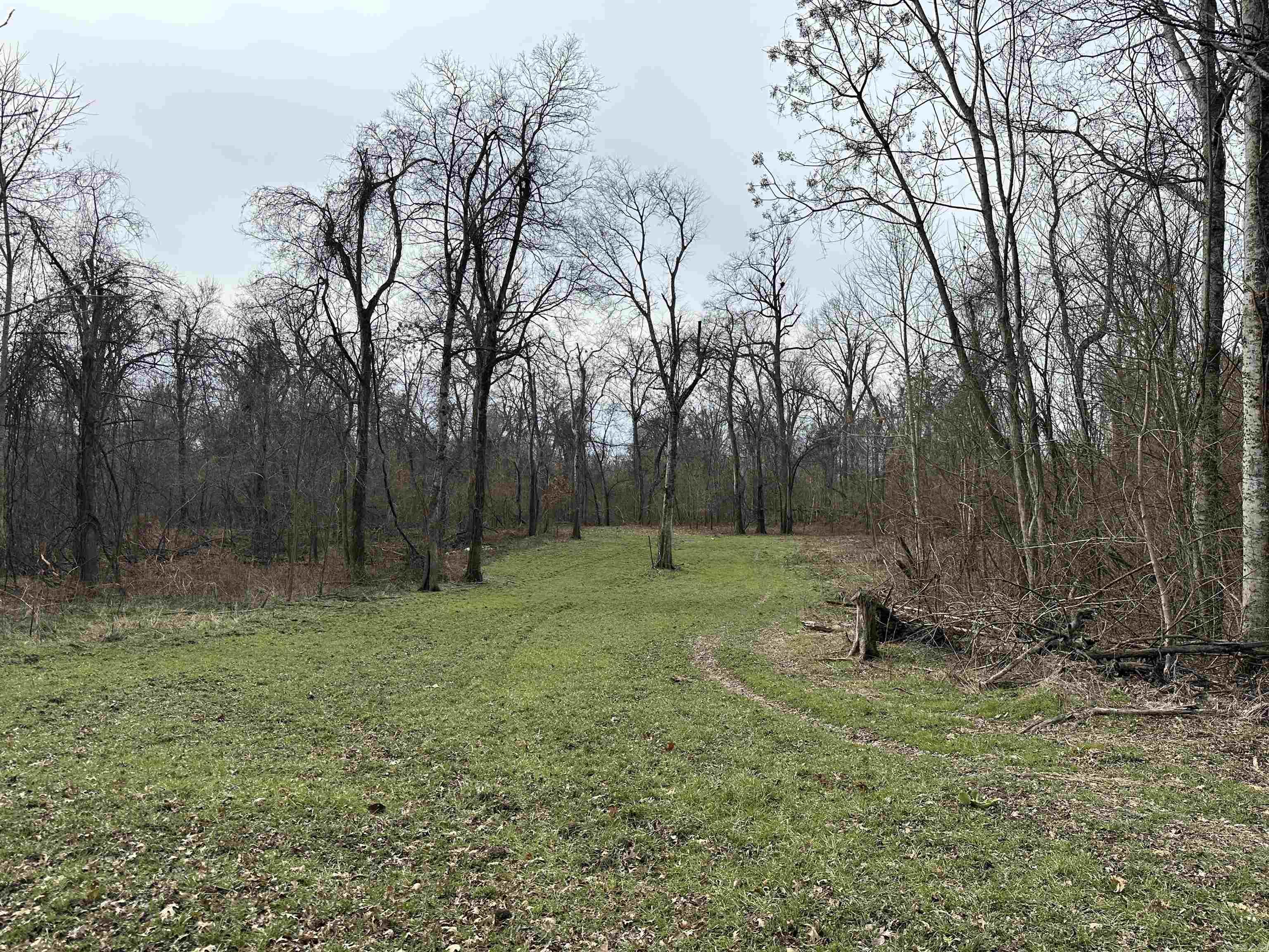 Metes & Bounds - Farm