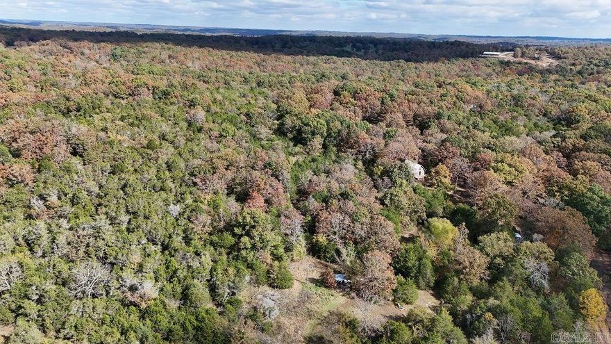 Hunters, take notice! This 40-acre tract on quiet Squirrel Road in Imboden is the perfect getaway for anyone looking for great hunting and outdoor recreation in the Ozarks. Loaded with wildlife and surrounded by natural cover, this property is a haven for deer, turkey, and small game. The land offers a beautiful mix of hardwood timber and open areas with the gorgeous year round Cedar Creek that runs through the property and is approximately 40 foot from cabin, but does not flood. Great hunting! Perfect year round property! Enjoy the peace and privacy of the countryside while staying close to Imboden and Pocahontas for supplies and amenities. Call today to make this amazing property yours!