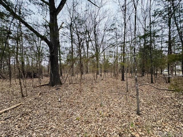 White River Timber Trails - Land