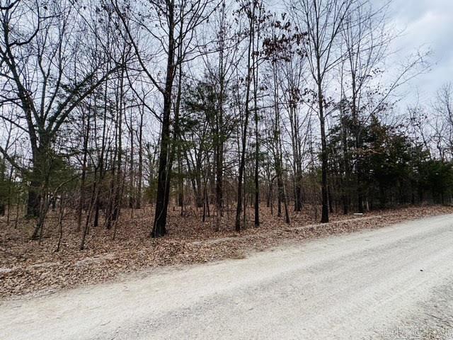 White River Timber Trails - Land