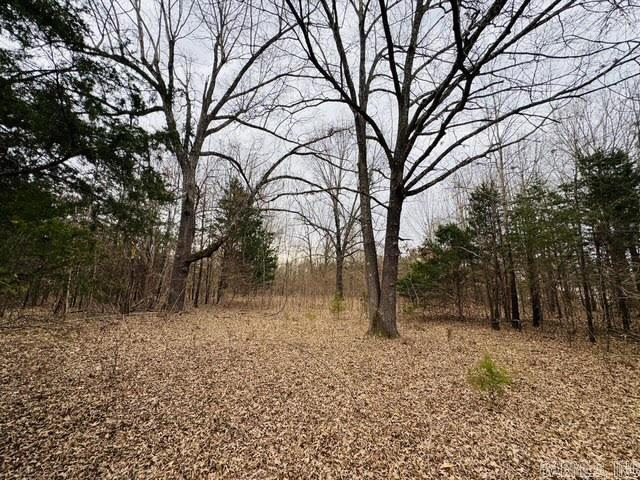 Discover the perfect spot to build your dream home on this beautiful 2-acre lot, just 7 miles from Mountain Home! This property offers easy access with County Road frontage and has mature oak trees, providing those shade and natural beauty. A 3-bedroom perk test was completed in 2007, making it a great candidate for your future home site. Enjoy the peace and privacy of country living while still being conveniently close to town. Don’t miss this opportunity to own a prime piece of land in a desirable location!