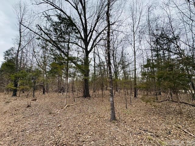 White River Timber Trails - Land