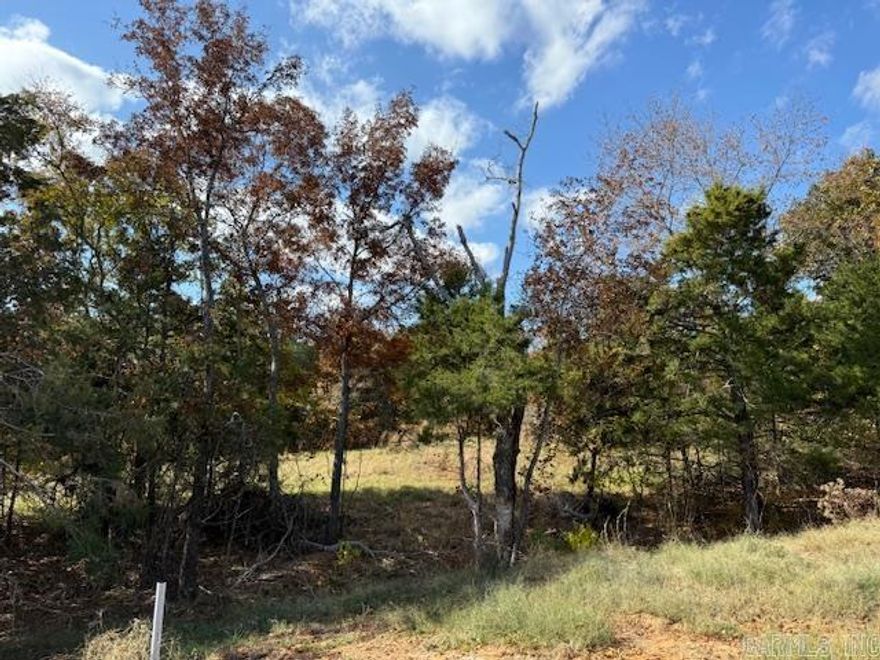 Wooded lot perfect for building your home or building a home to sale.  You could leave trees at the back of the lot for privacy.  All utilities are on the property. 1450 sq. ft. minimum