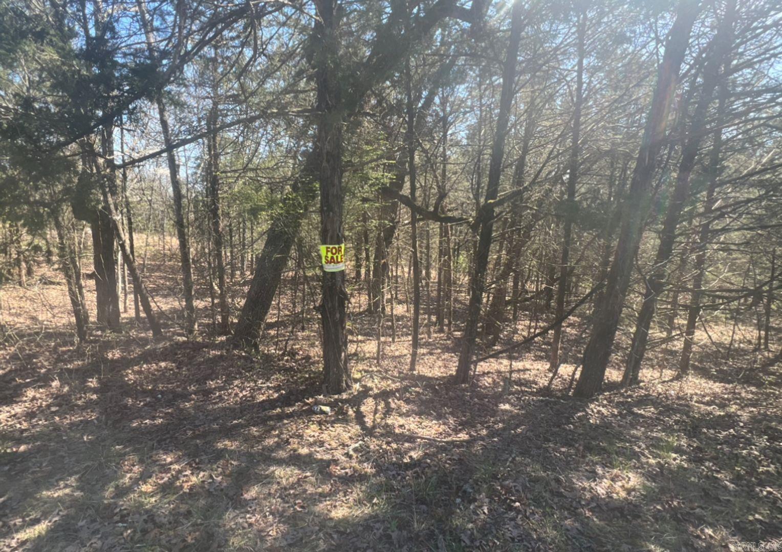 Owner financing is available- This 0.29-arce building lot sits directly next to the golf course and has an amazing view! Horseshoe Bend is an excellent place where you can call it your forever home or build/ place a cabin for a nice vacation getaway. This lot has power at the lot line. This area provides a few lakes to have an endless amount of fun. Take the family and friends and spend the day or weekend out on the water. You can fish, go swimming, and do many other water activities. Utilities nearby! The Horseshoe Bend Water Department will have Water & Sewer information for you concerning water service and trash service. That number is 870-670-5885 or you can email at water@cityhsb.org The electricity is provided by North Arkansas Electric Cooperative. Their number is 870-895-3221. Here is your opportunity to buy a beautiful piece of land in Horseshoe Bend. It is the perfect place to build or use as a vacation spot for yourself or your family. Hold onto for yourself or give it to your kids down the road. This is a lot that everyone can enjoy for years and years to come.
