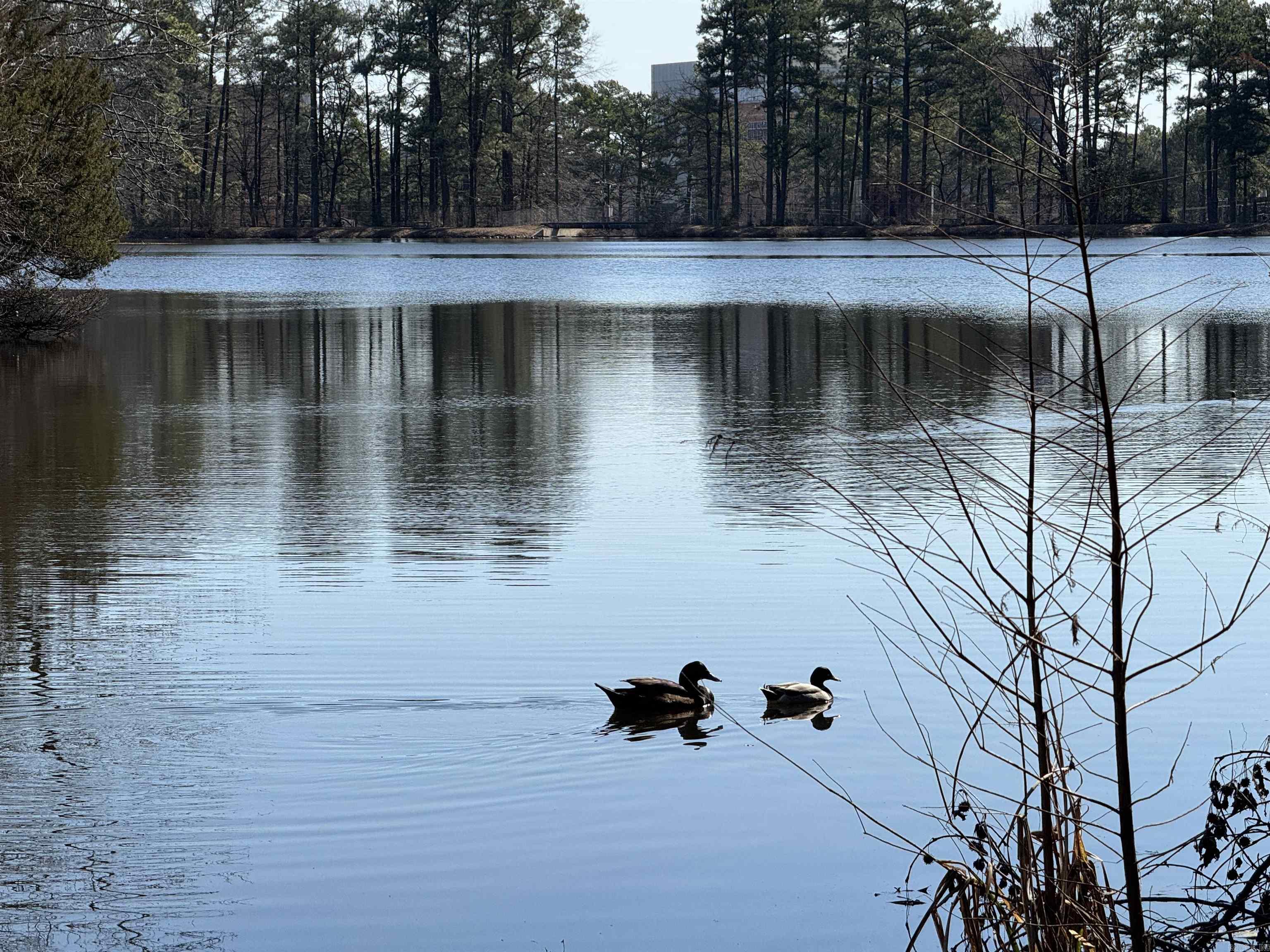 BROADMOOR ADDN - Residential