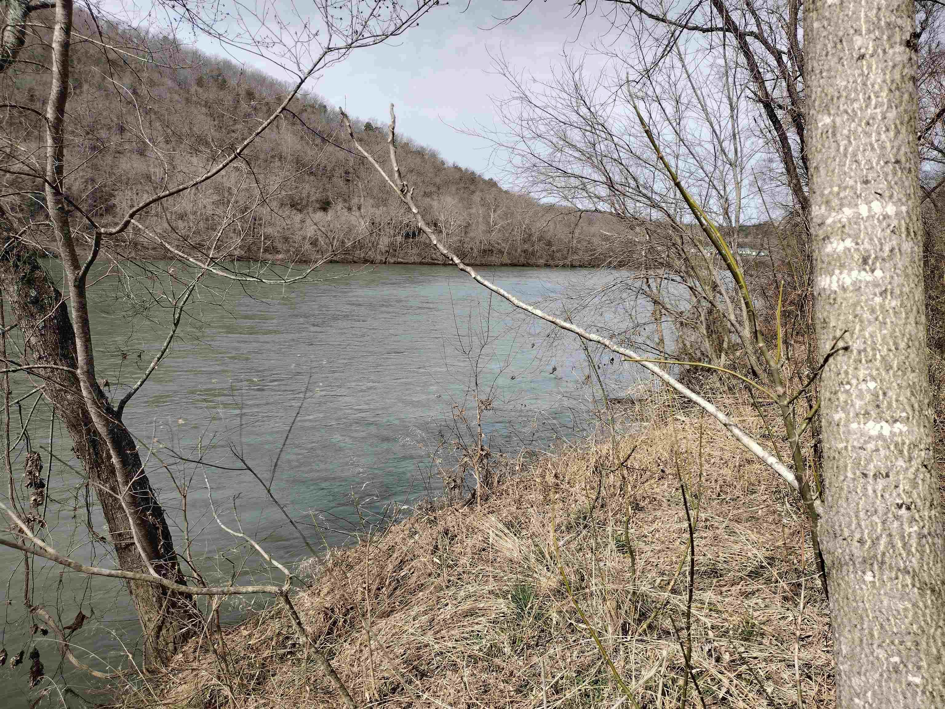 Riverview at Sylamore - Land