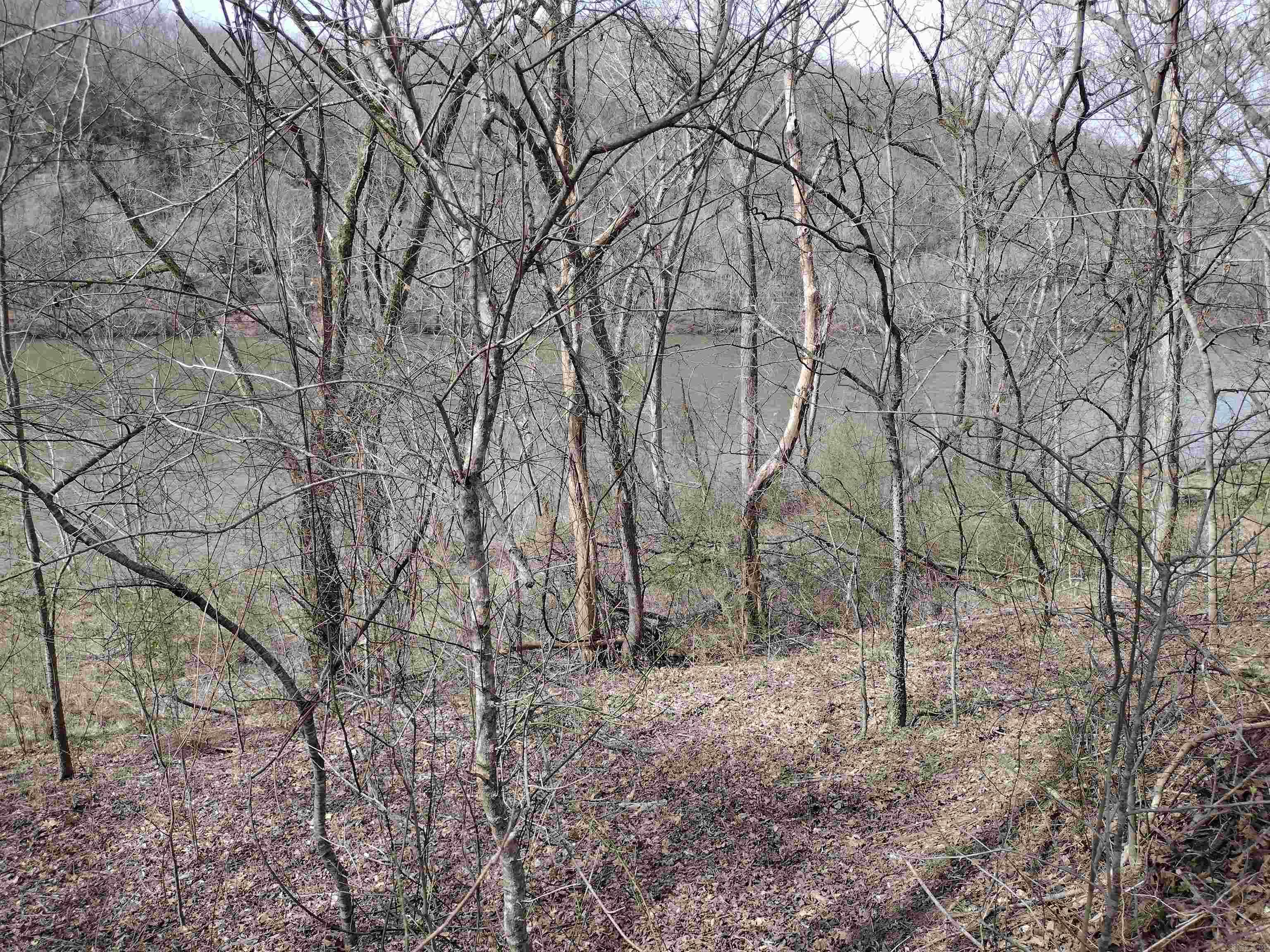 Riverview at Sylamore - Land