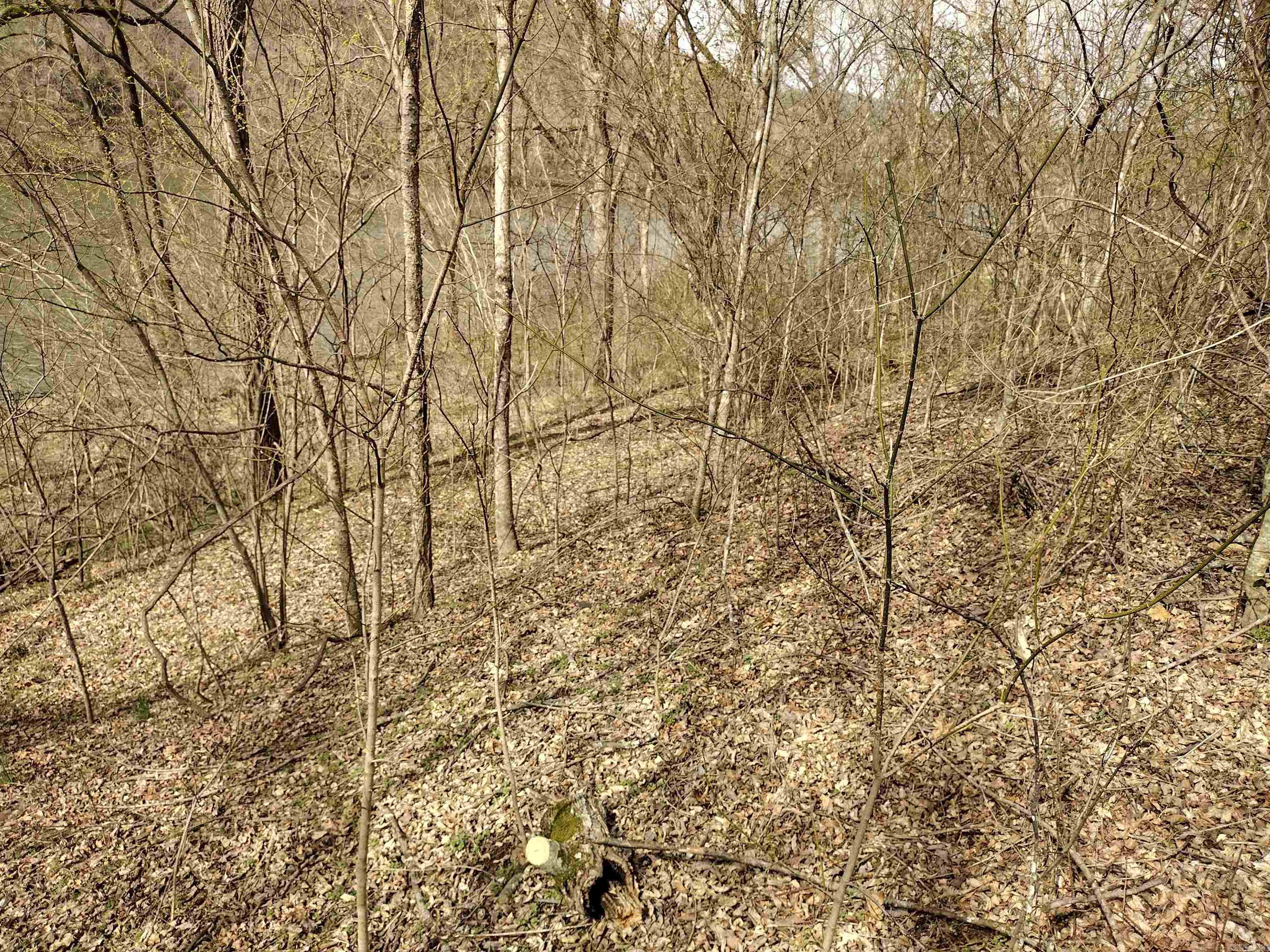 Riverview at Sylamore - Land