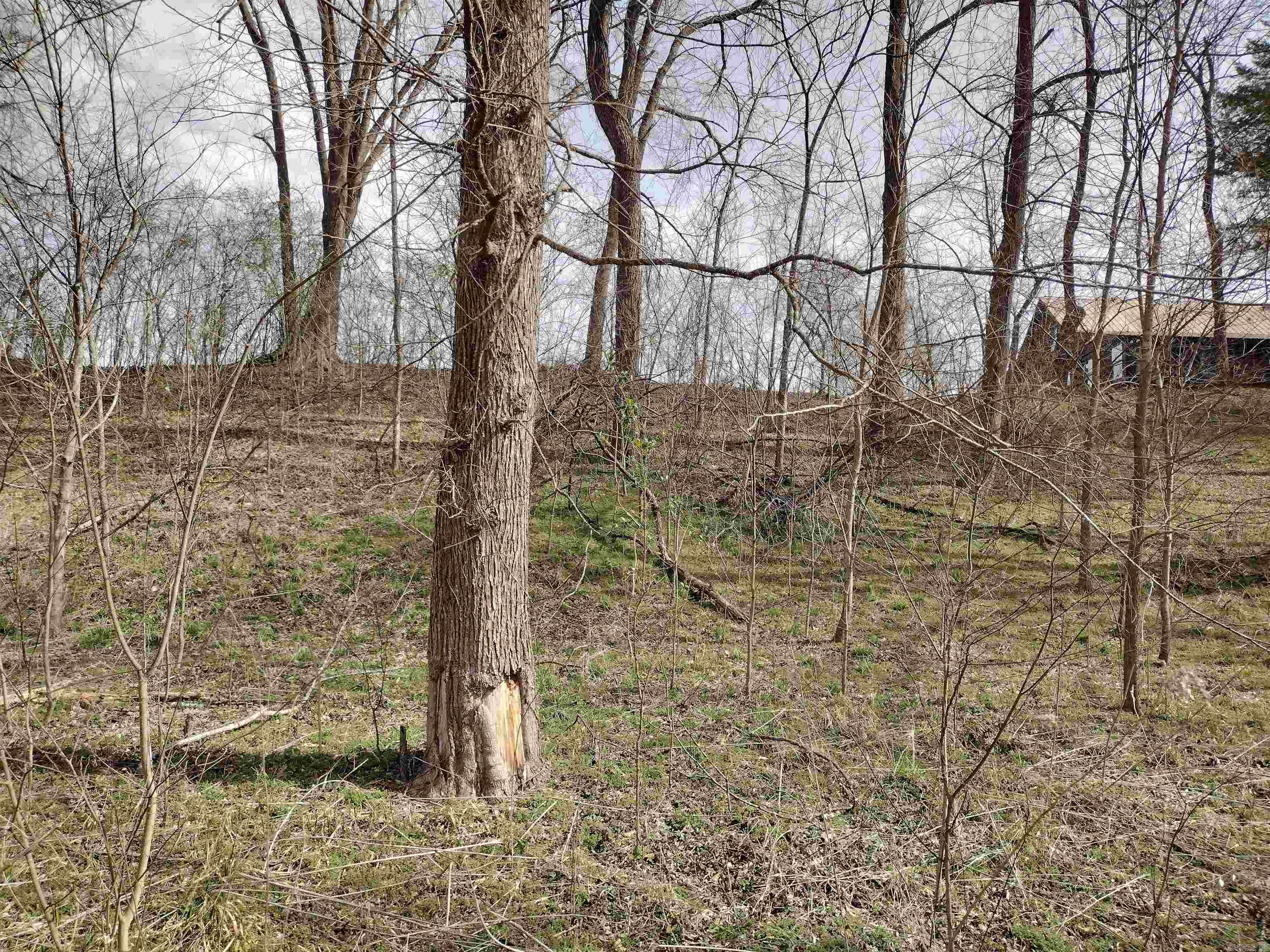 Riverview at Sylamore - Land