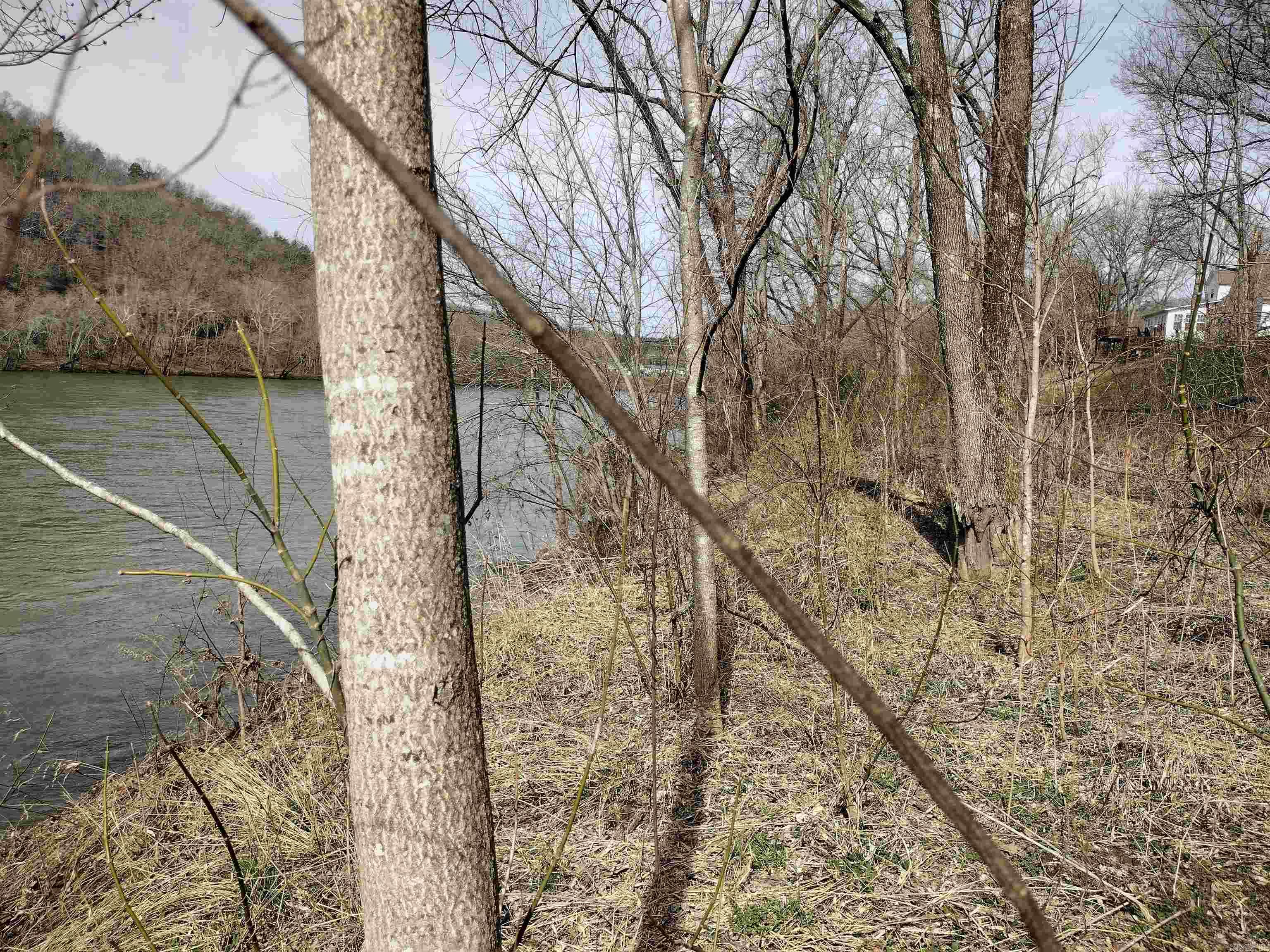 Riverview at Sylamore - Land