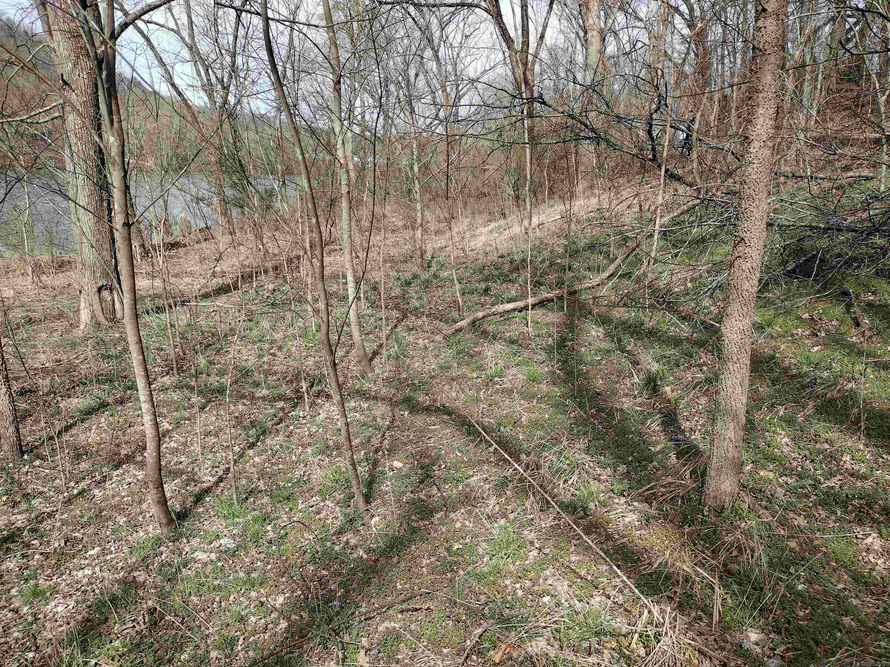 Riverview at Sylamore - Land