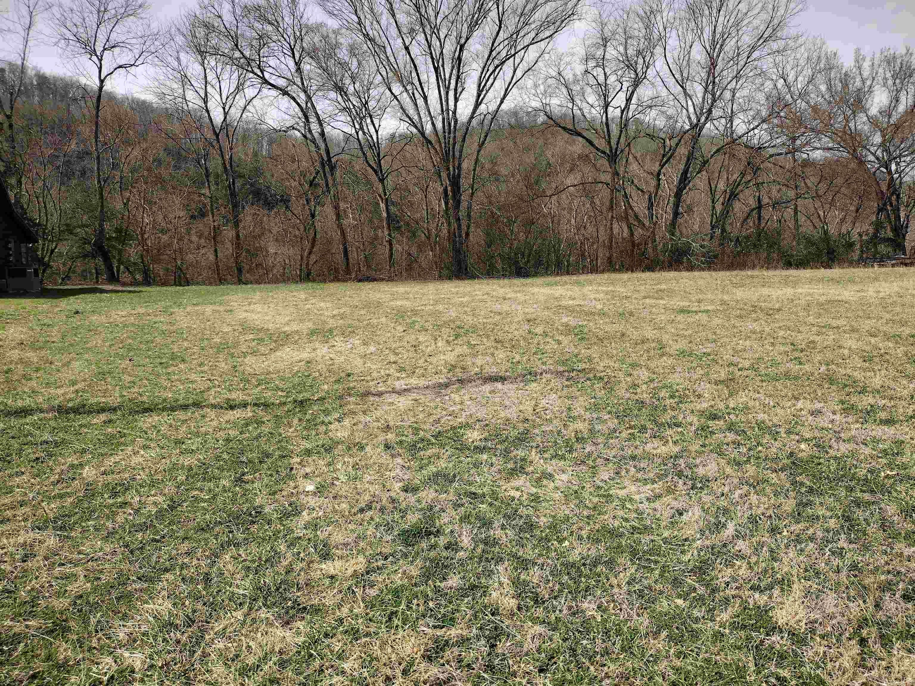 Riverview at Sylamore - Land